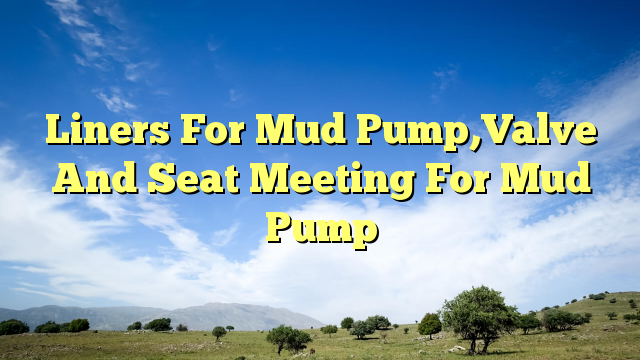 Liners For Mud Pump,Valve And Seat Meeting For Mud Pump